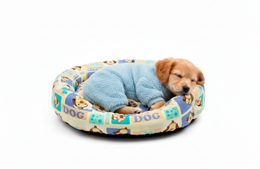 Linha pet: lançamentos e tecidos queridinhos